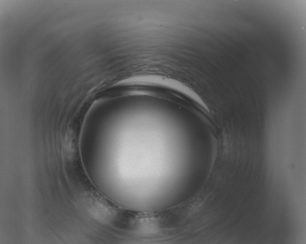 X0000077340228200610271810