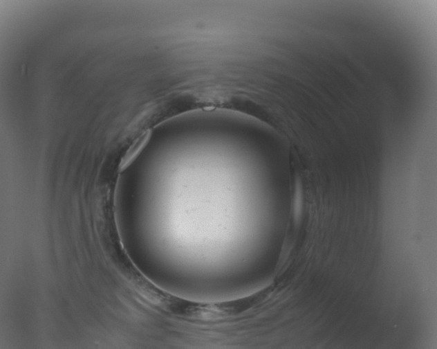 X0000077340229200610271810