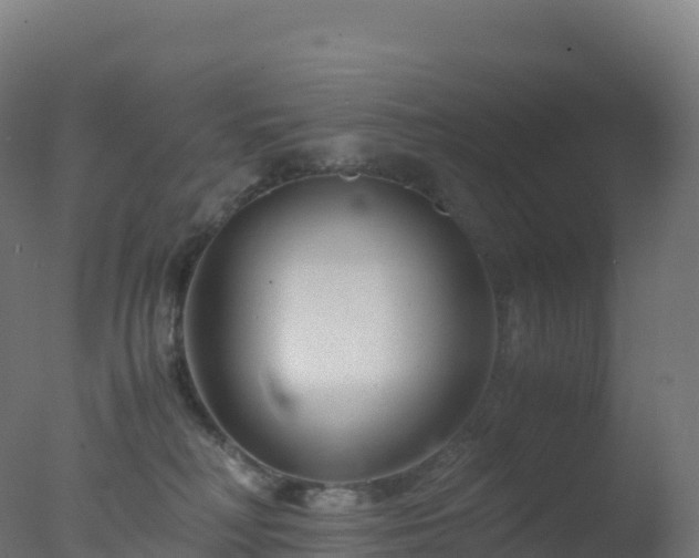 X0000077340230200610271810