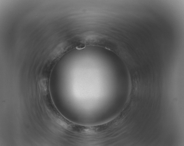 X0000077340232200610271810
