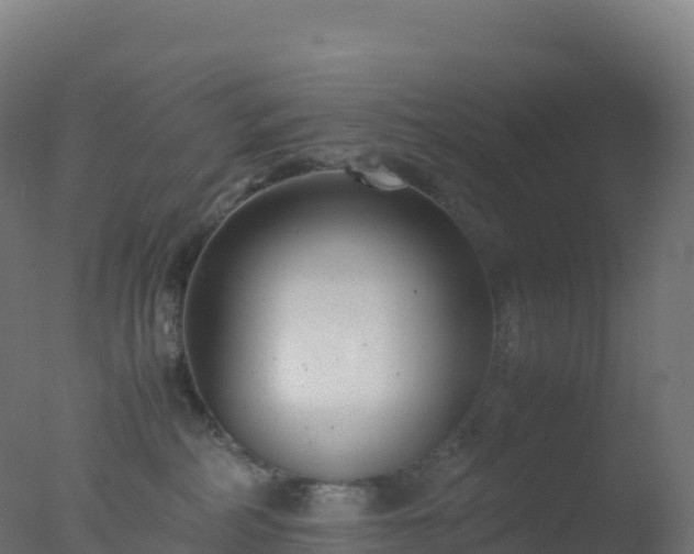 X0000077340234200610271810
