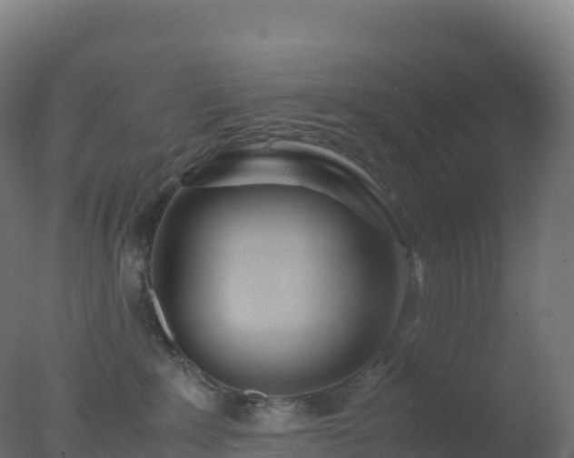 X0000077340235200610271810
