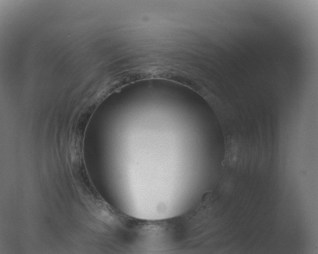 X0000077340236200610271810