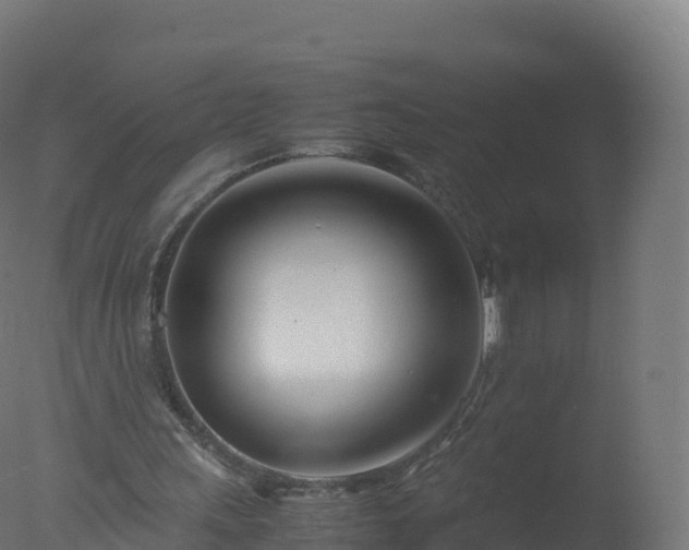 X0000077340243200610271809