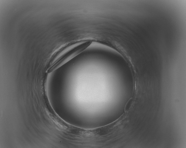 X0000077340249200610271810