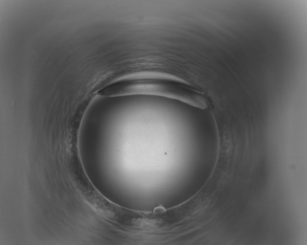 X0000077340255200610271810