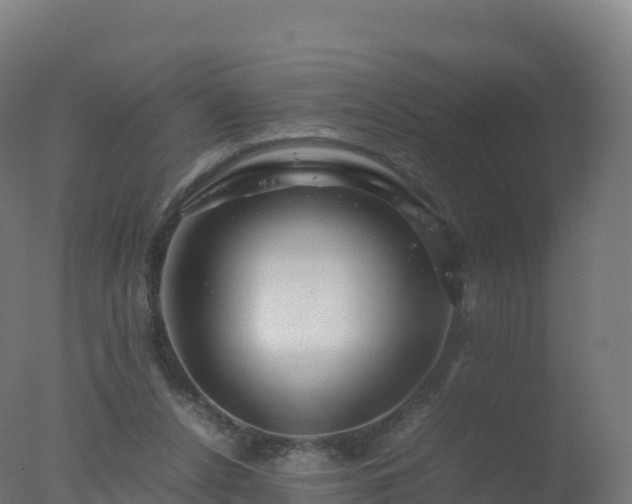 X0000077340256200610271810