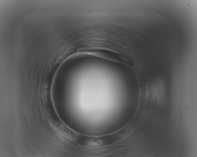 X0000077340263200610271810