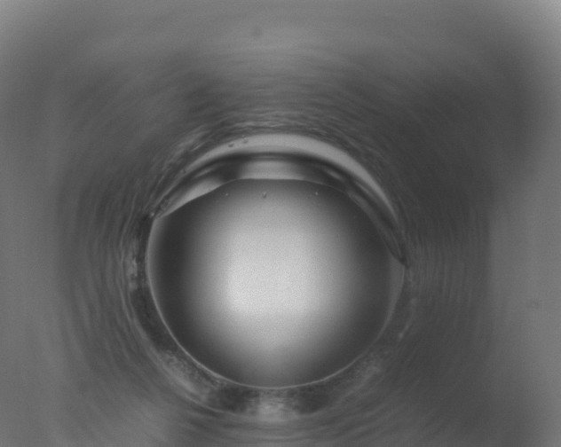 X0000077340264200610271810