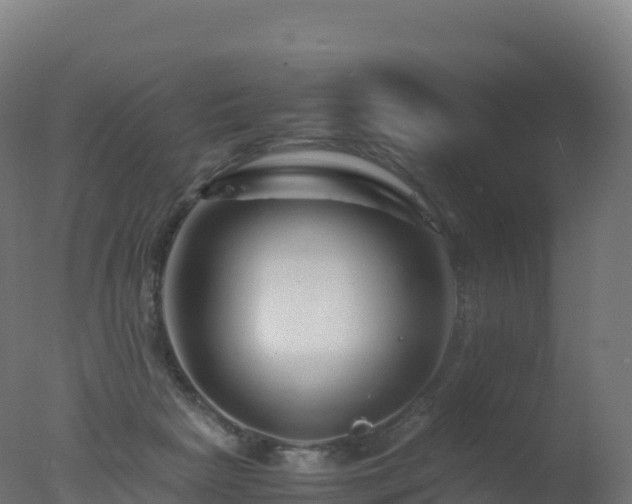 X0000077340265200610271810