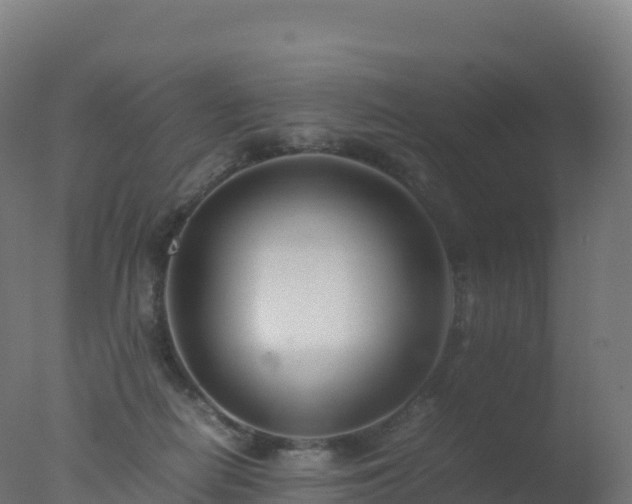 X0000077340266200610271810