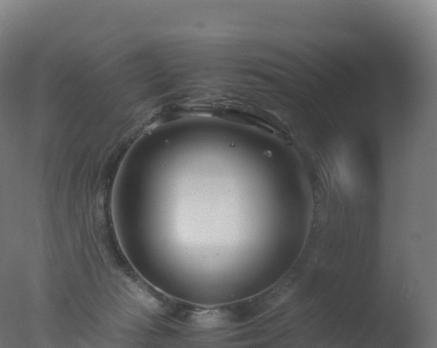 X0000077340269200610271810
