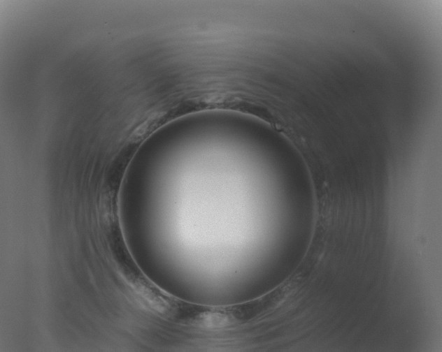 X0000077340272200610271810