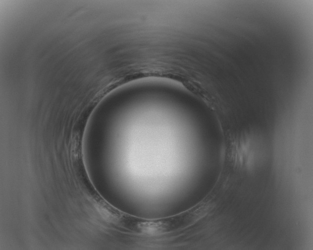 X0000077340273200610271810