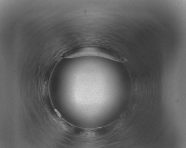 X0000077340276200610271810