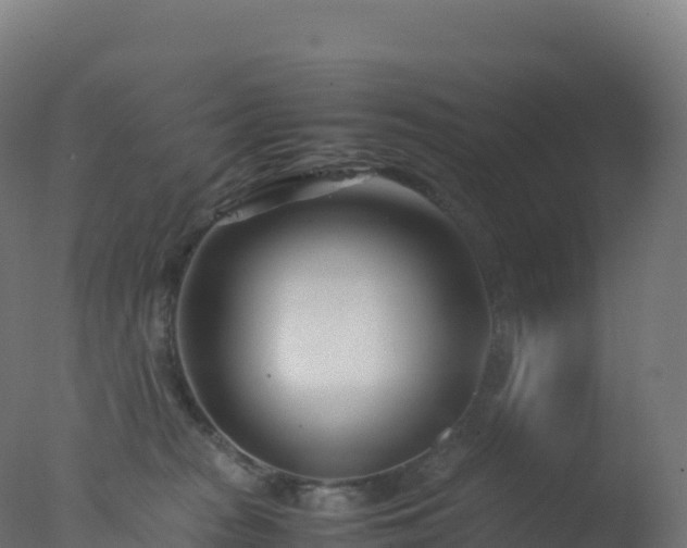 X0000077340277200610271810