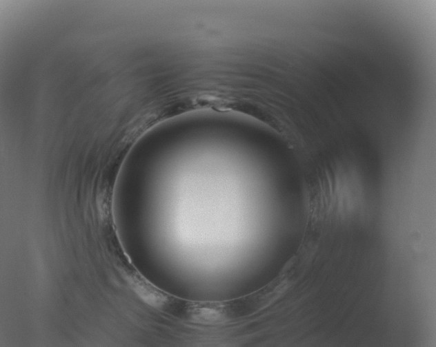 X0000077340285200610271810