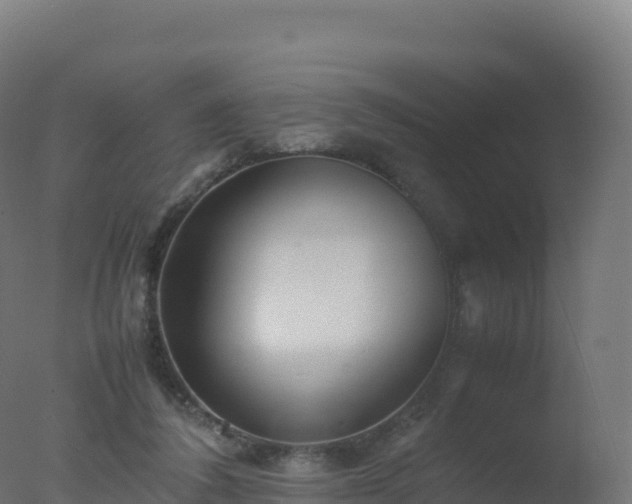 X0000077340308200610271809