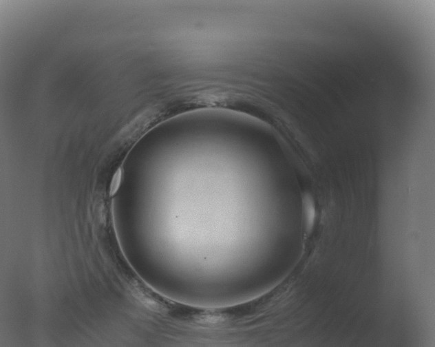 X0000077340313200610271809