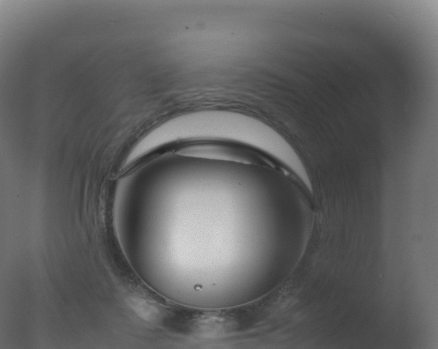 X0000077340315200610271809