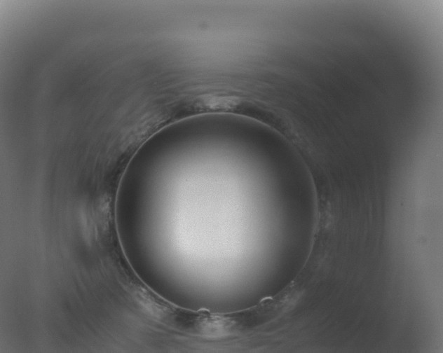 X0000077340321200610271809
