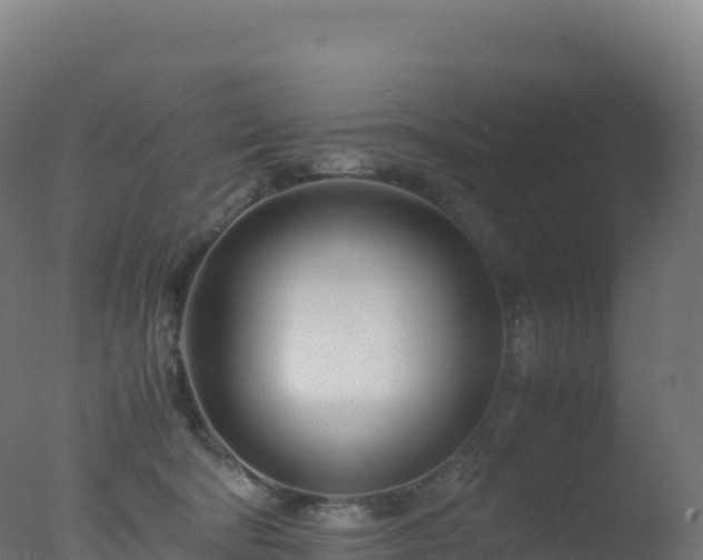 X0000077340322200610271809