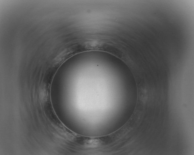 X0000077340324200610271809