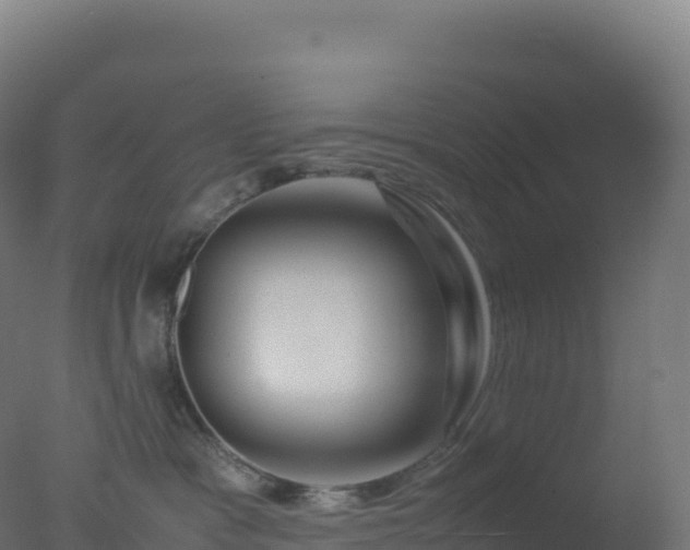 X0000077340333200610271809