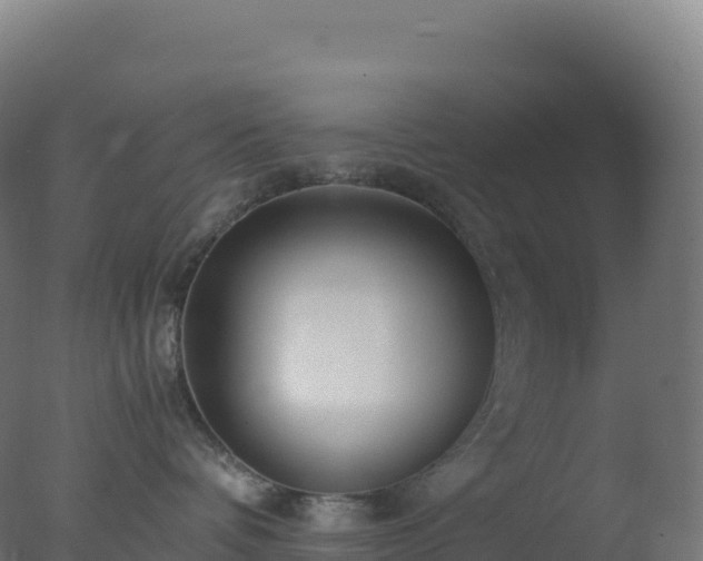 X0000077340336200610271809