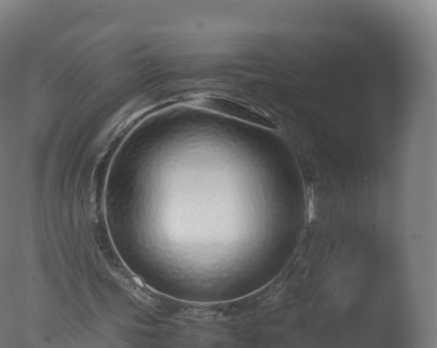 X0000077340339200610271808