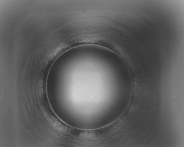 X0000077340354200610271808