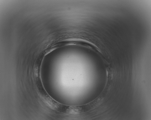 X0000077340368200610271808