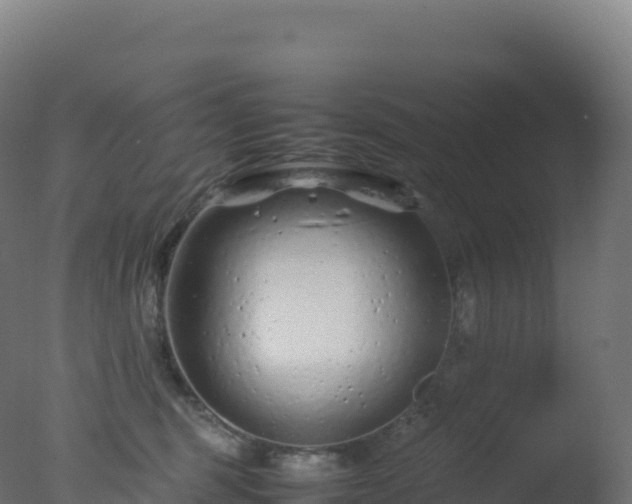 X0000077340375200610271808