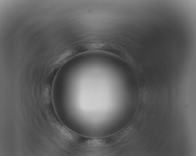 X0000077340378200610271808