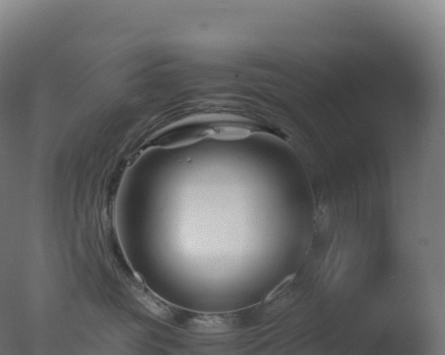 X0000077340381200610271808