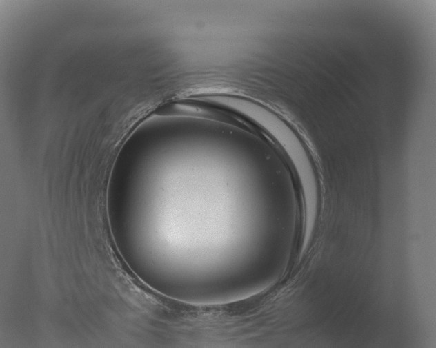 X0000077340385200610271808