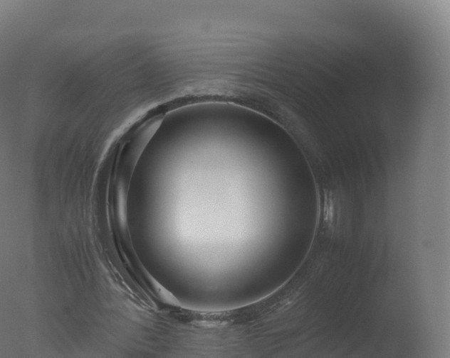 X0000077340388200610271808