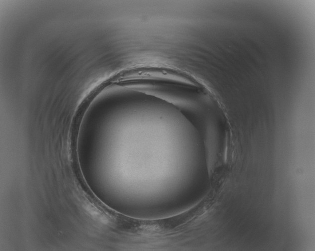 X0000077340391200610271808