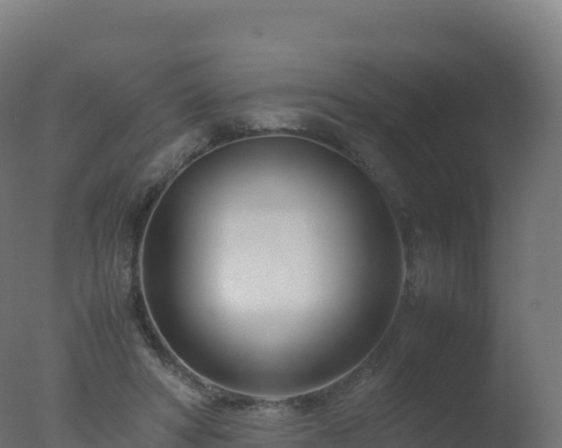 X0000077340402200610271807