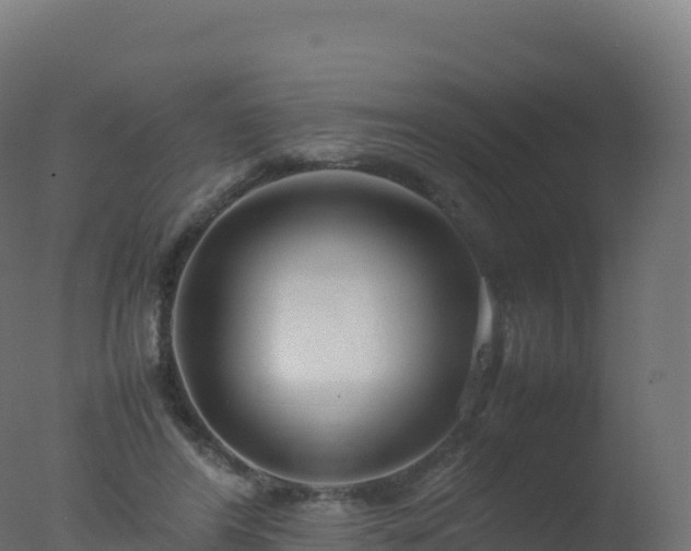 X0000077340404200610271807
