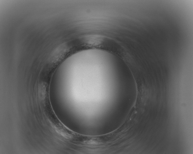 X0000077340412200610271807
