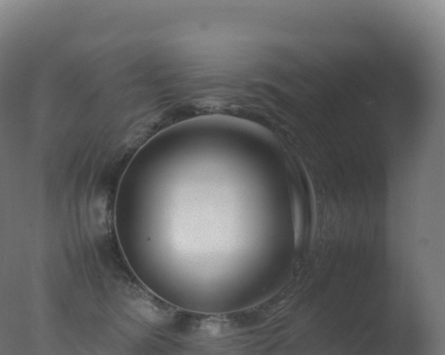 X0000077340420200610271807