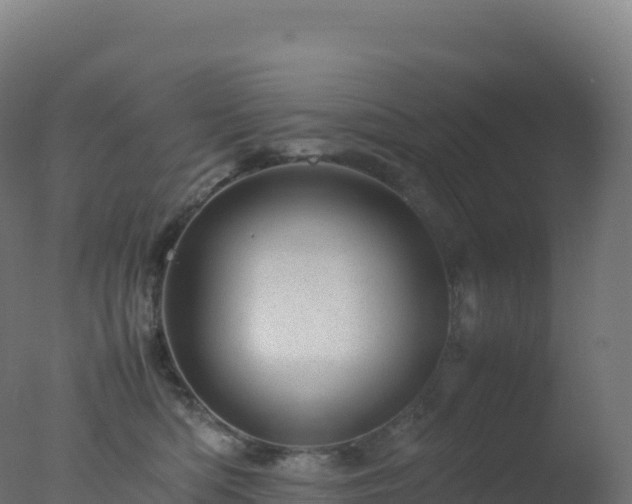 X0000077340422200610271807