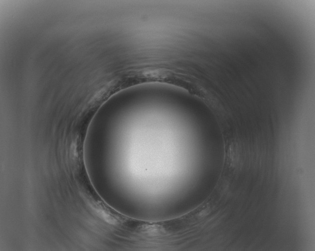 X0000077340424200610271807