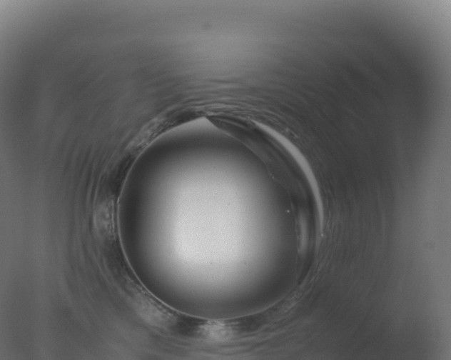 X0000077340425200610271807