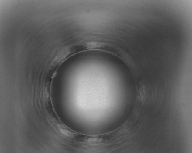 X0000077340426200610271807