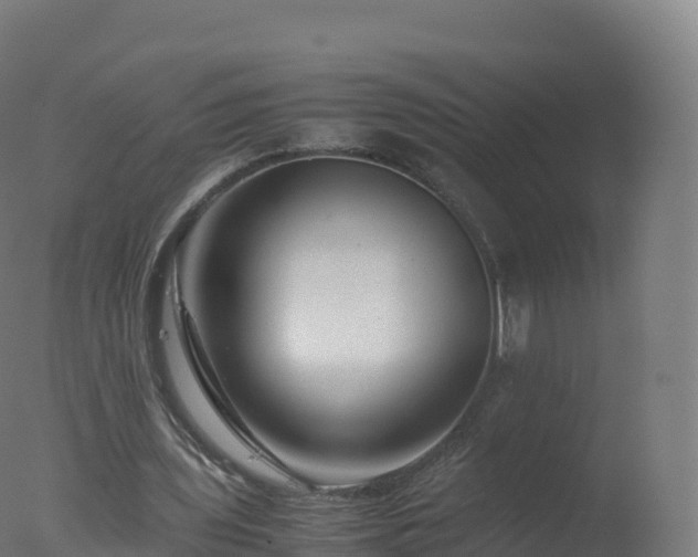 X0000077340435200610271806