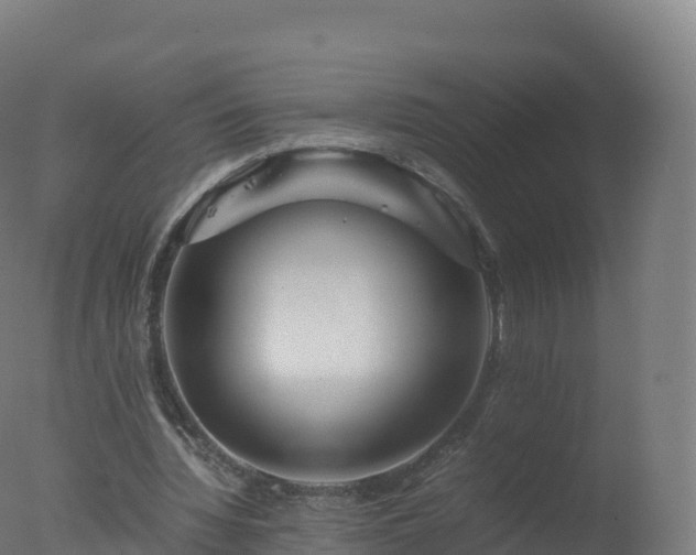 X0000077340436200610271806
