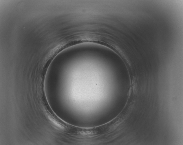 X0000077340445200610271806