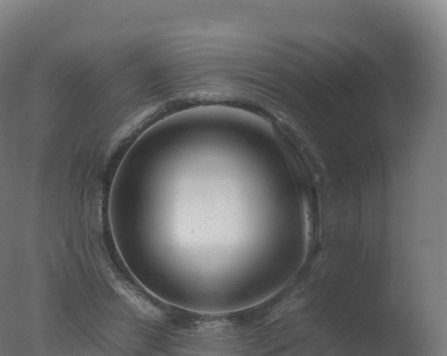 X0000077340446200610271806